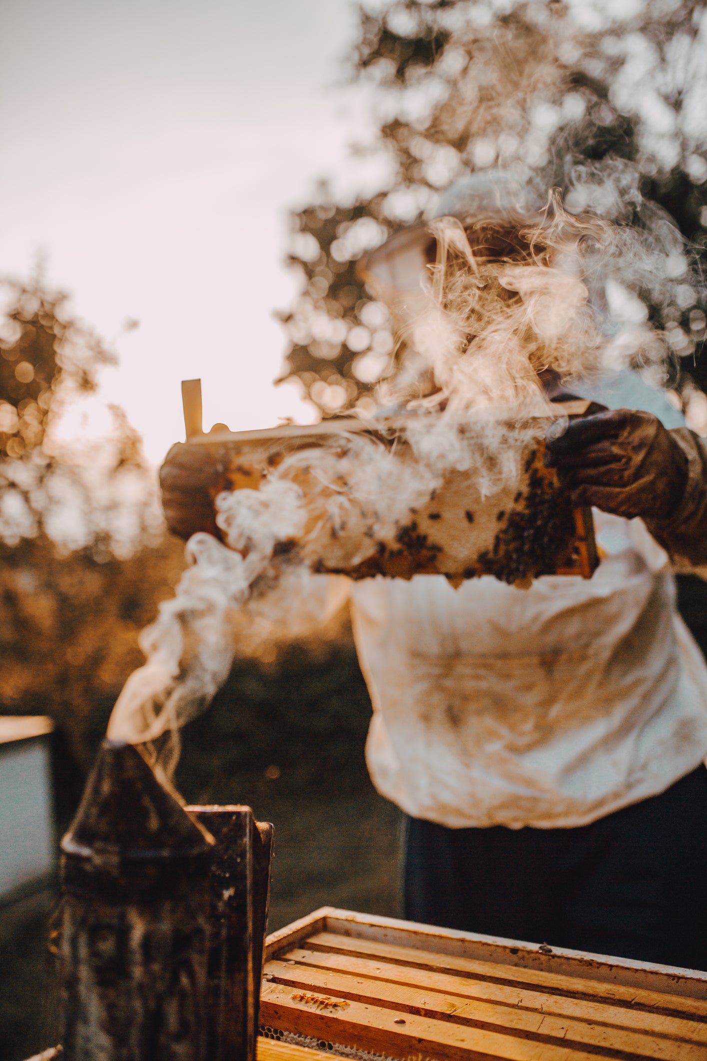 Benefits Of Beekeeping!