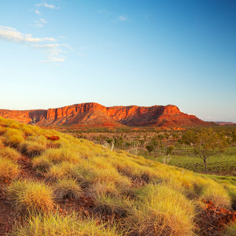 Australian Botanicals