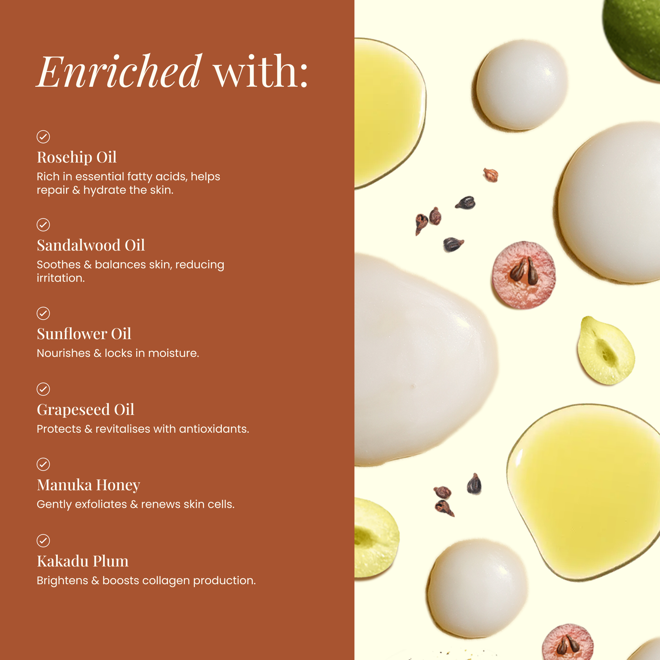 Wild Bee Evening Clear Serum