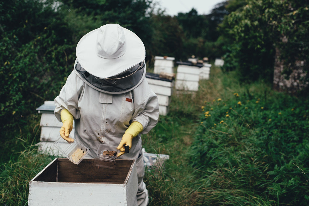 Propolis Benefits For Skin