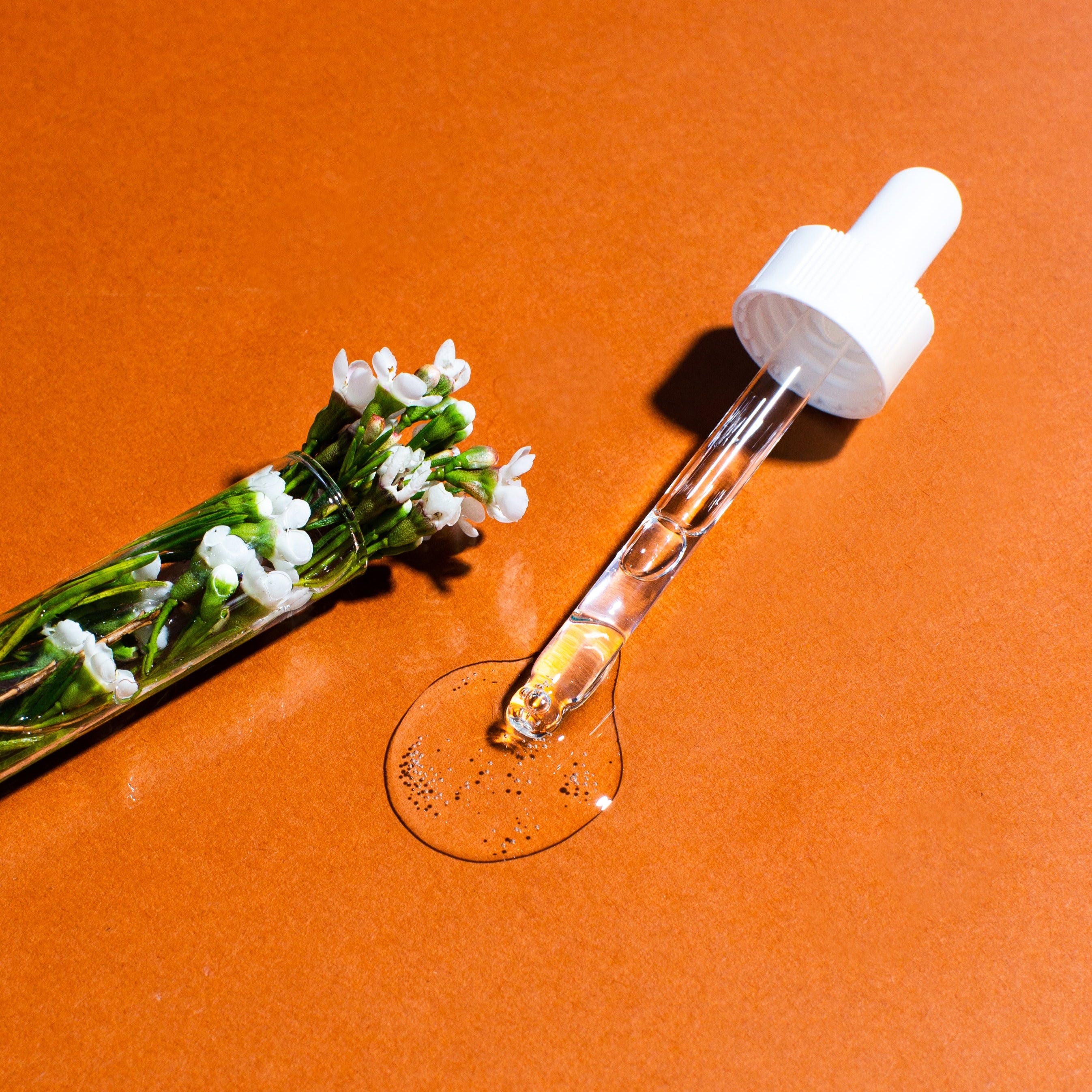 Wild Bee Gentle Eyes Serum