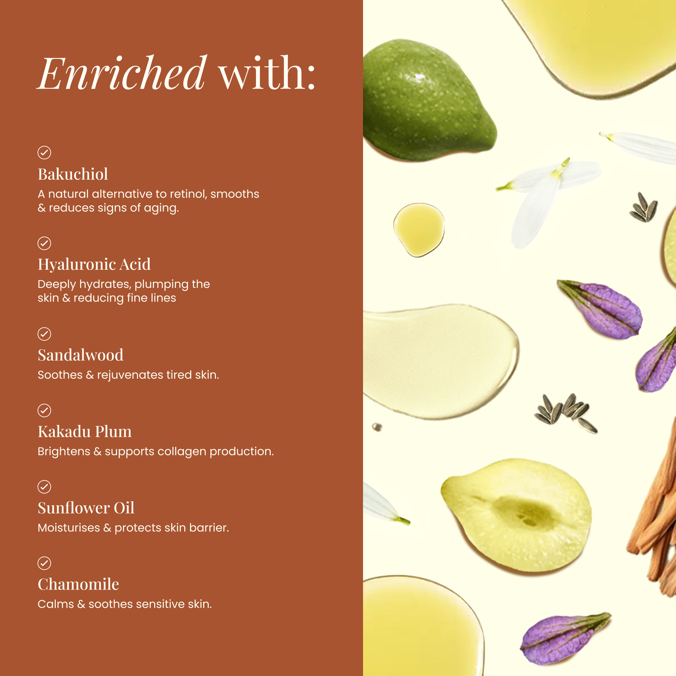 Wild Bee Daily Revive Serum