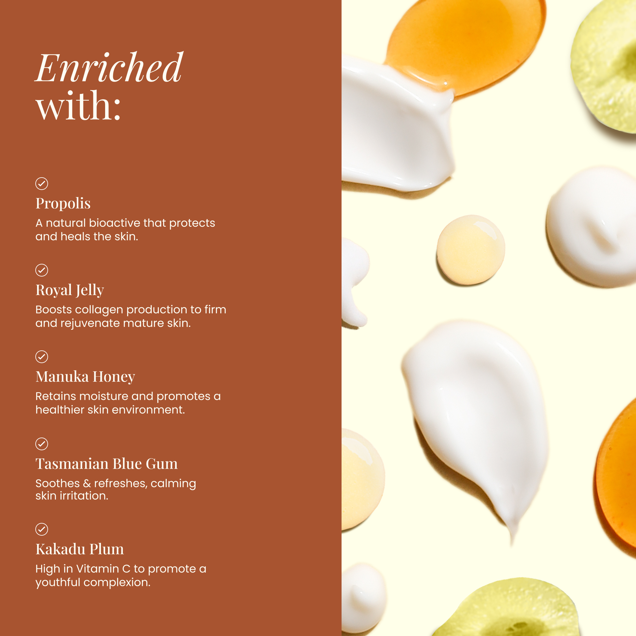 Wild Bee Nourishing Face Cream