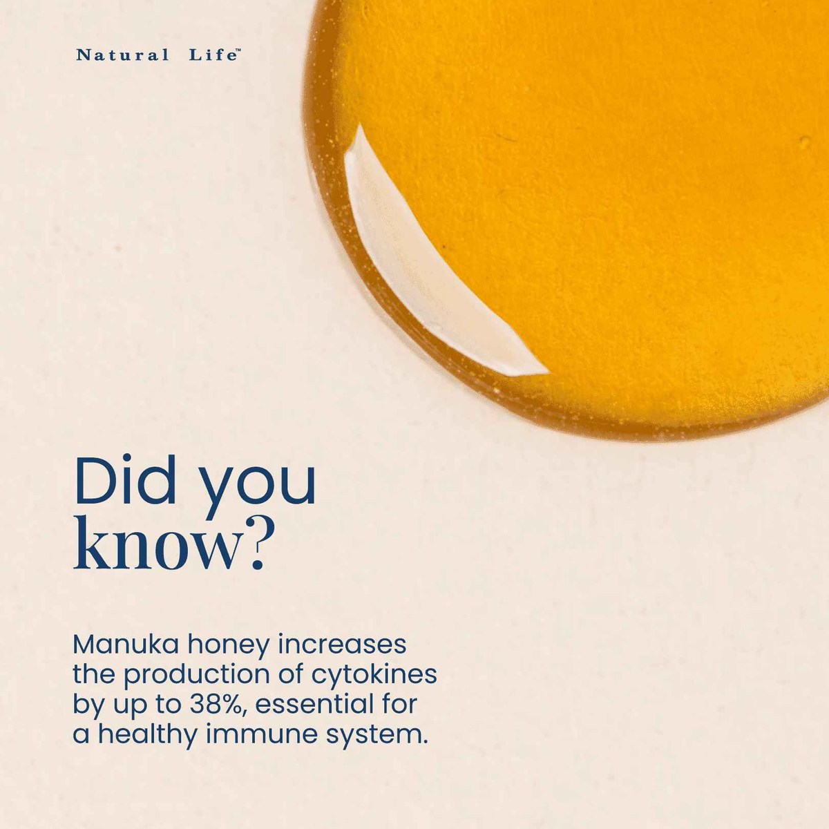 Natural Life Manuka Honey MGO 800